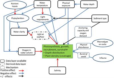 Habitat Model of Eelgrass in Danish Coastal Waters: Development, Validation and Management Perspectives